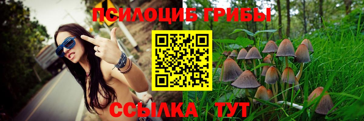 Псилоцибиновые грибы Psilocybine cubensis Железноводск